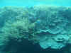 010831n.jpg (244956 bytes)