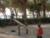 020313o.jpg (545228 bytes)
