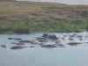 011025zp.jpg (431438 bytes)