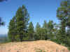 030706_img_0168.jpg (188147 bytes)