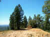 030808_im013085.jpg (191331 bytes)